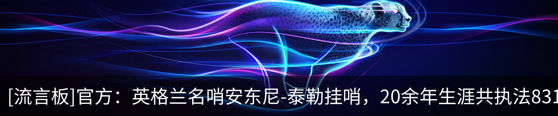最新动态